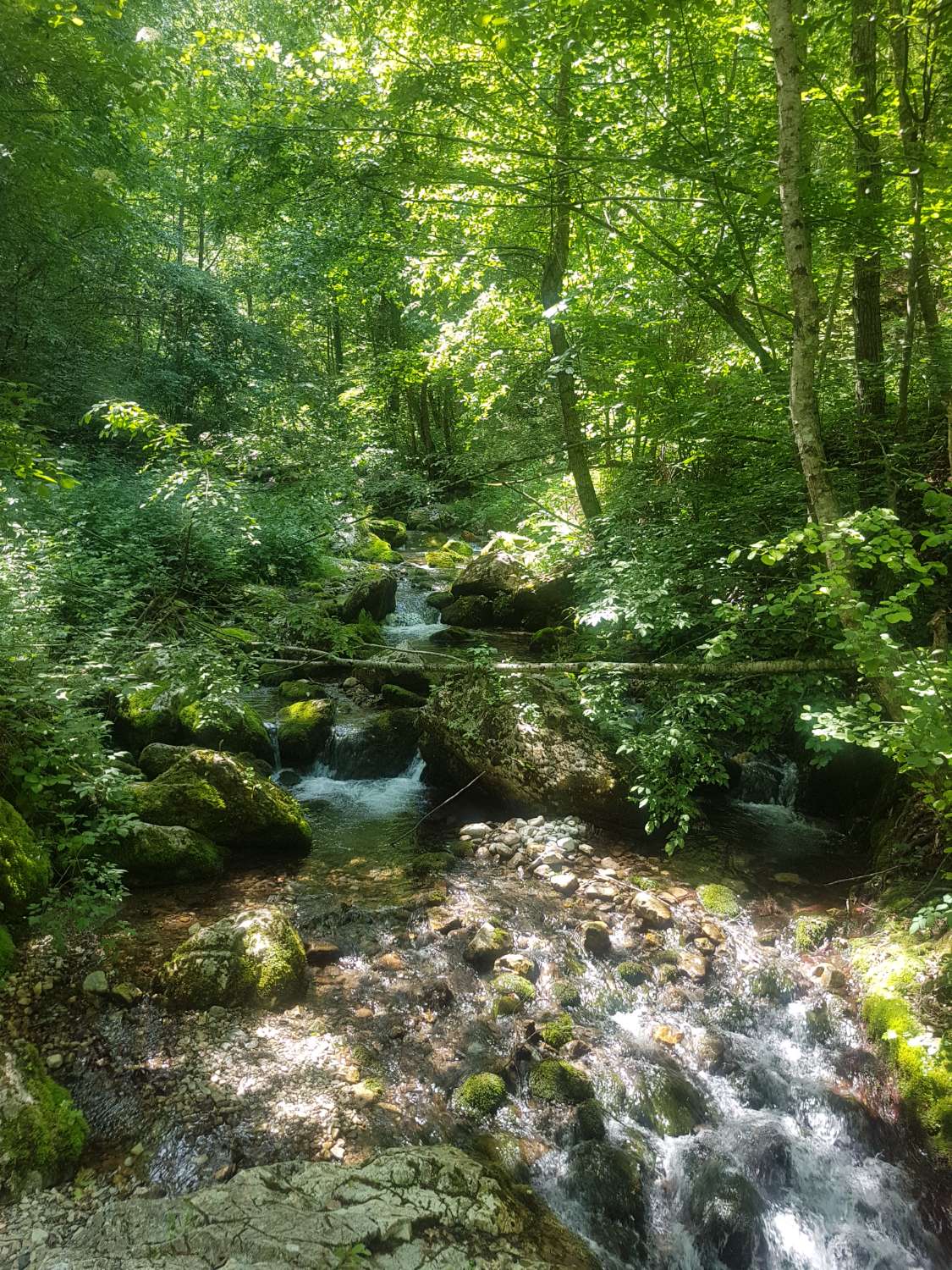 365 meter rivier